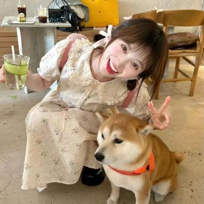 科洛弗悖论